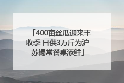 400亩丝瓜迎来丰收季 日供3万斤为沪苏锡常餐桌添鲜