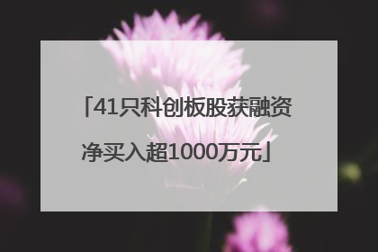 41只科创板股获融资净买入超1000万元