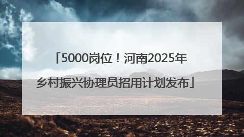 5000岗位！河南2025年乡村振兴协理员招用计划发布