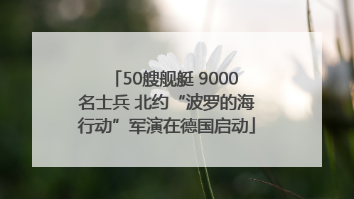 50艘舰艇 9000名士兵 北约“波罗的海行动”军演在德国启动