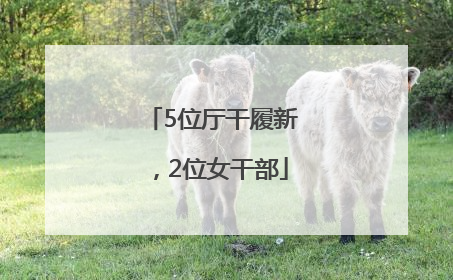 5位厅干履新，2位女干部