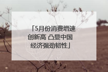 5月份消费增速创新高 凸显中国经济强劲韧性