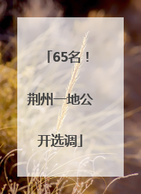 65名！荆州一地公开选调