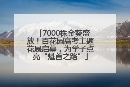 7000株金葵盛放！百花园高考主题花展启幕，为学子点亮“魁首之路”